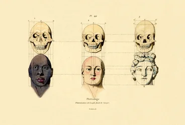 Phrenology